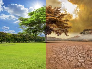 Image divisée en deux illustrant les effets du changement climatique : à gauche, un paysage verdoyant avec ciel bleu, herbe verte et arbres en bonne santé ; à droite, un paysage sec et aride avec sol craquelé, arbres desséchés et ciel jaune orageux.